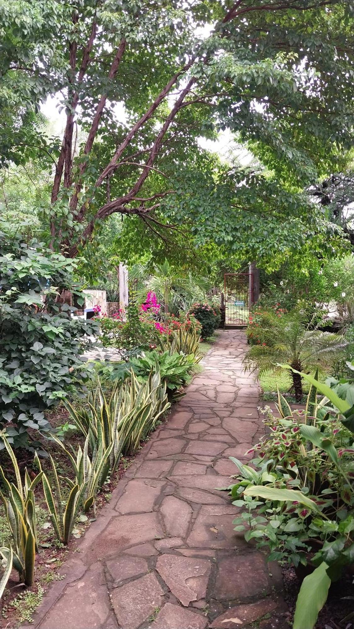 Casa Todo Bueno Bed & Breakfast Transito Exterior foto