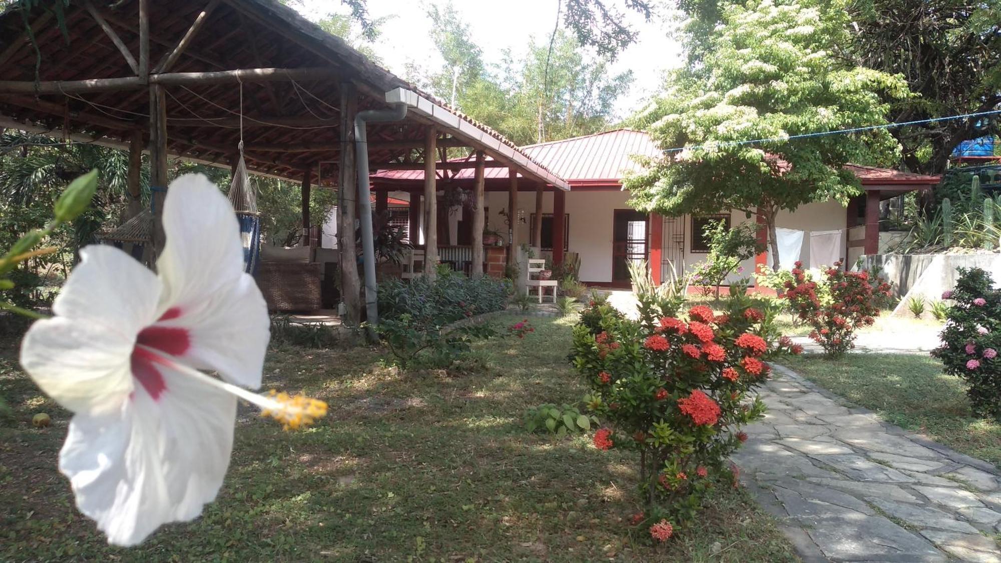 Casa Todo Bueno Bed & Breakfast Transito Exterior foto